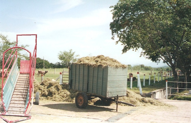 remolques agrícolas 28 cisternas plataformas plasticio maderplast galera esparcidores de estiércol remolque esparcidor plataformas remolcador para transporte agrícola basculantes plataformas o zorra remolques agrícolas 28 cisternas plataformas plasticio maderplast galera esparcidores de estiércol remolque esparcidor plataformas remolcador para transporte agrícola basculantes plataformas o zorra remolques agrícolas 28 cisternas plataformas plasticio maderplast galera esparcidores de estiércol remolque esparcidor plataformas remolcador para transporte agrícola basculantes plataformas o zorra